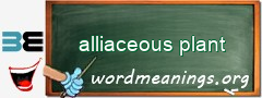 WordMeaning blackboard for alliaceous plant